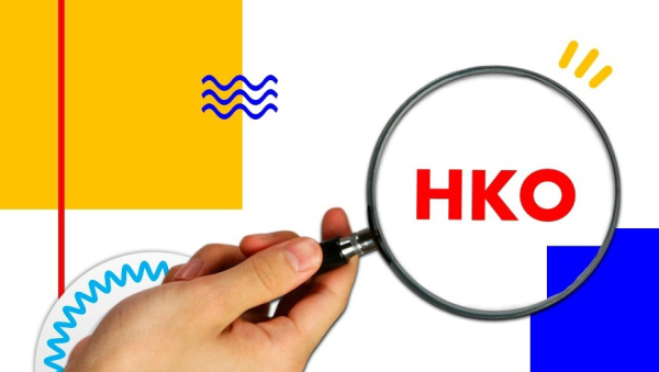 Подведены итоги регионального конкурса Годовых публичных отчетов СО НКО!
