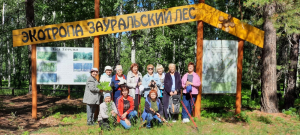 Старшие рулят!