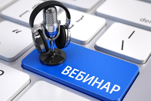 Сотрудники Регионального ресурсного центра для СОНКО Курганской области приняли участие в вебинаре