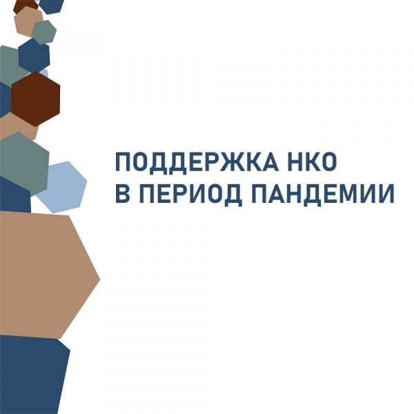 Участие в Общественном совете Департамента образования и науки Курганской области