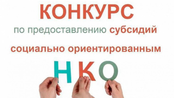 В Правительстве области подведены итоги конкурса по отбору социально ориентированных некоммерческих организаций для предоставления субсидий на реализацию проектов